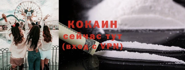 дмт Богородицк