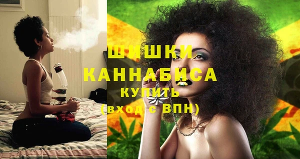 дмт Богородицк
