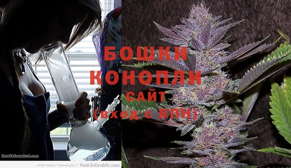 дмт Богородицк